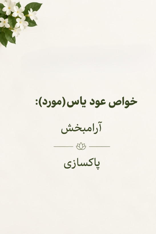 عود یاس (گیاه مورد)