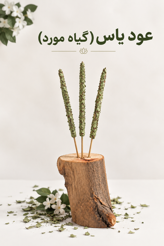 عود یاس (گیاه مورد)